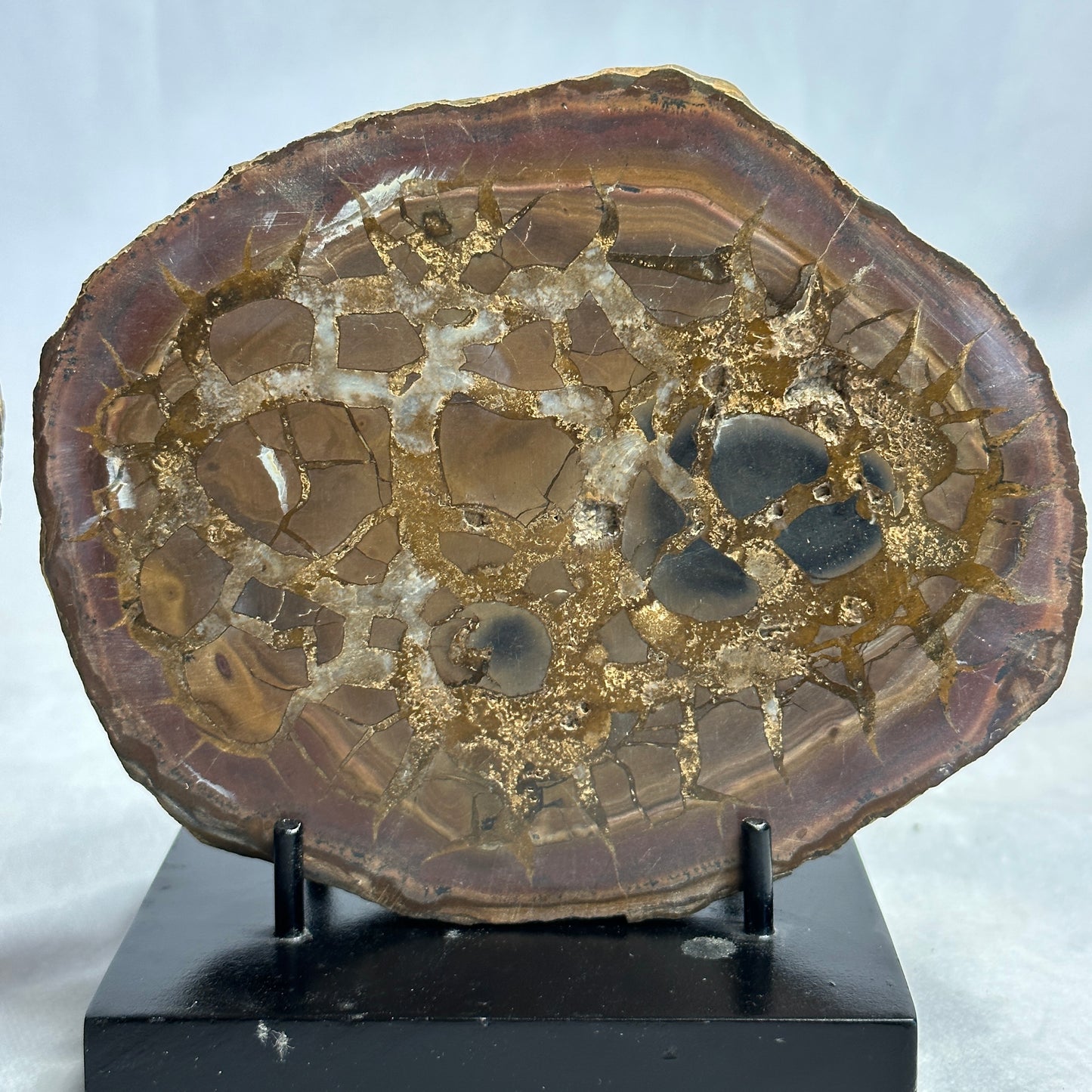 Spectacular Split Septarian Pair