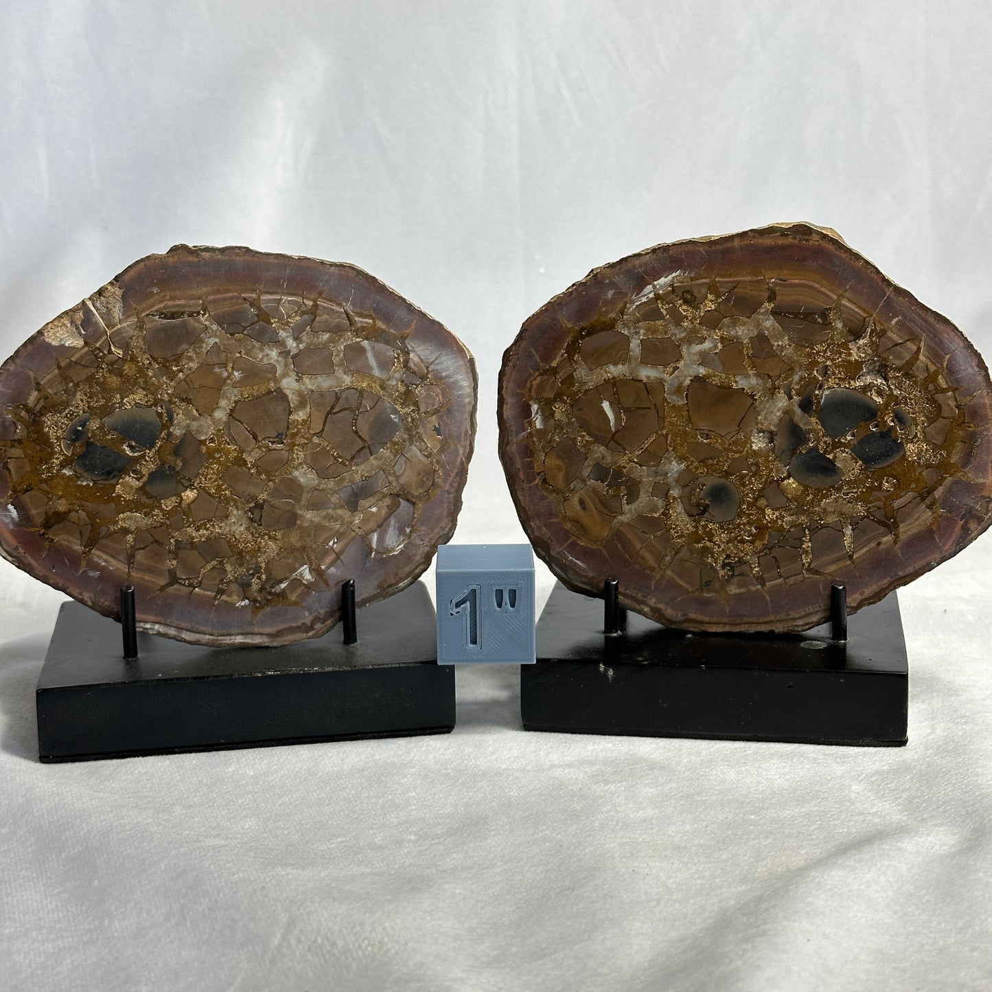 Spectacular Split Septarian Pair