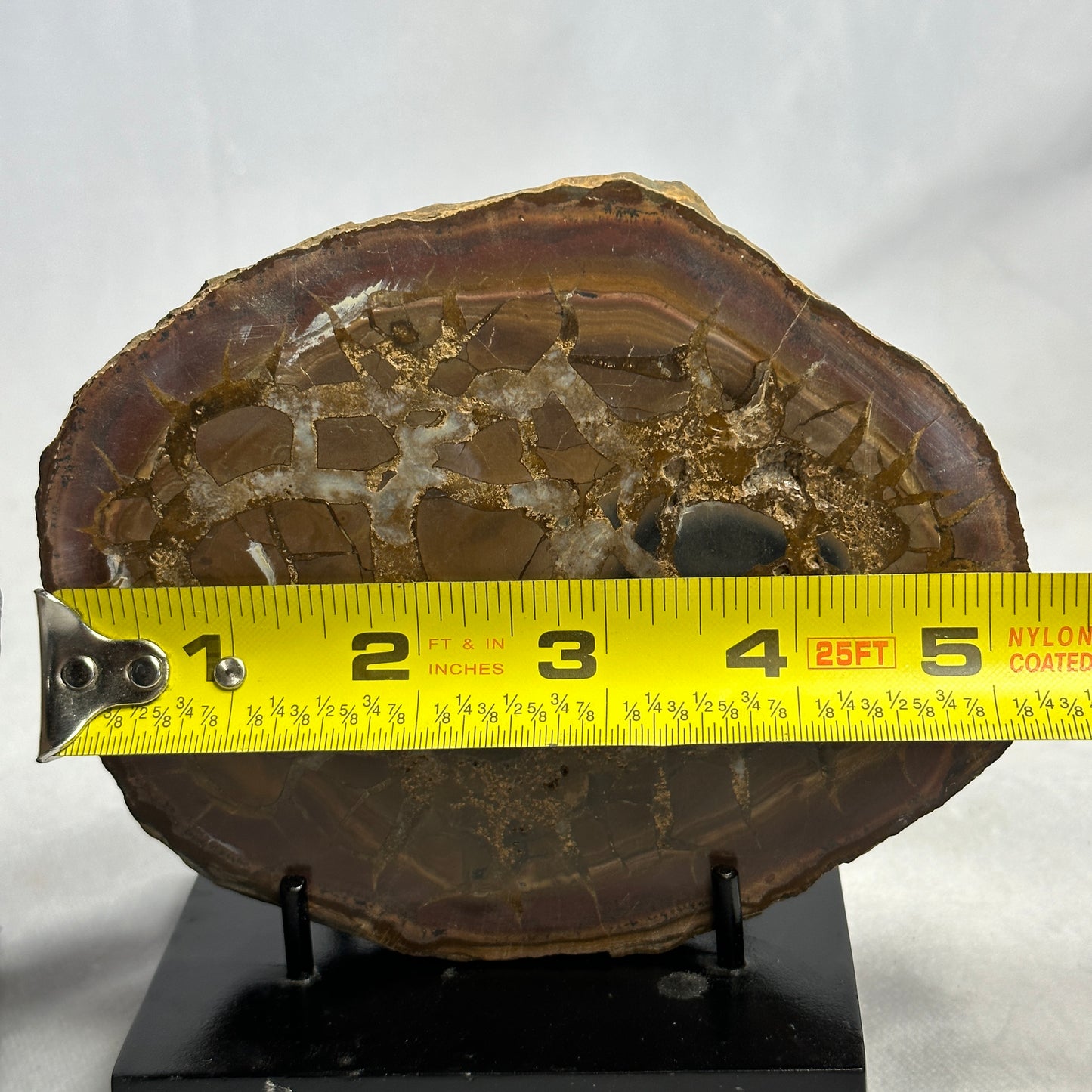 Spectacular Split Septarian Pair