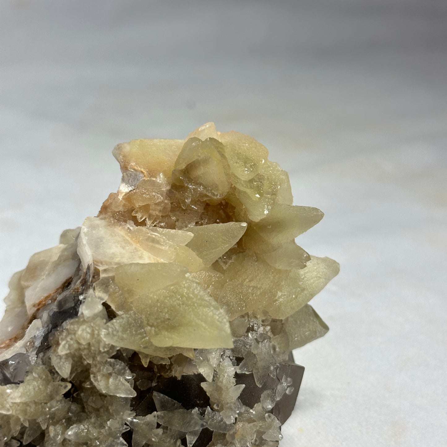 Eye-Catching Dogtooth Calcite and Fluorite