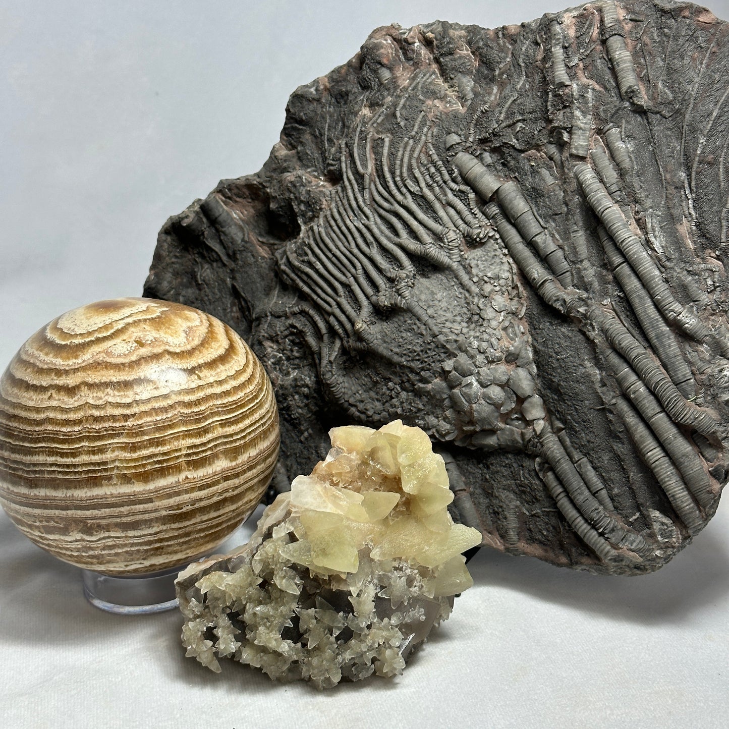 Eye-Catching Dogtooth Calcite and Fluorite