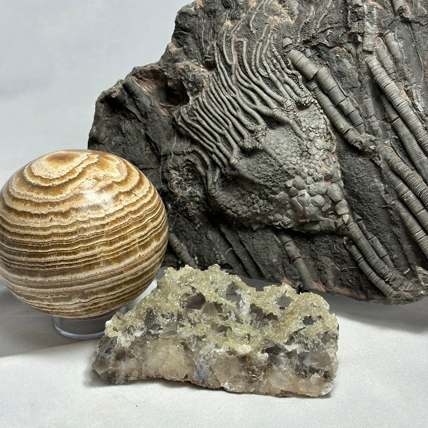 Appealing Fluorite and Dogtooth Calcite