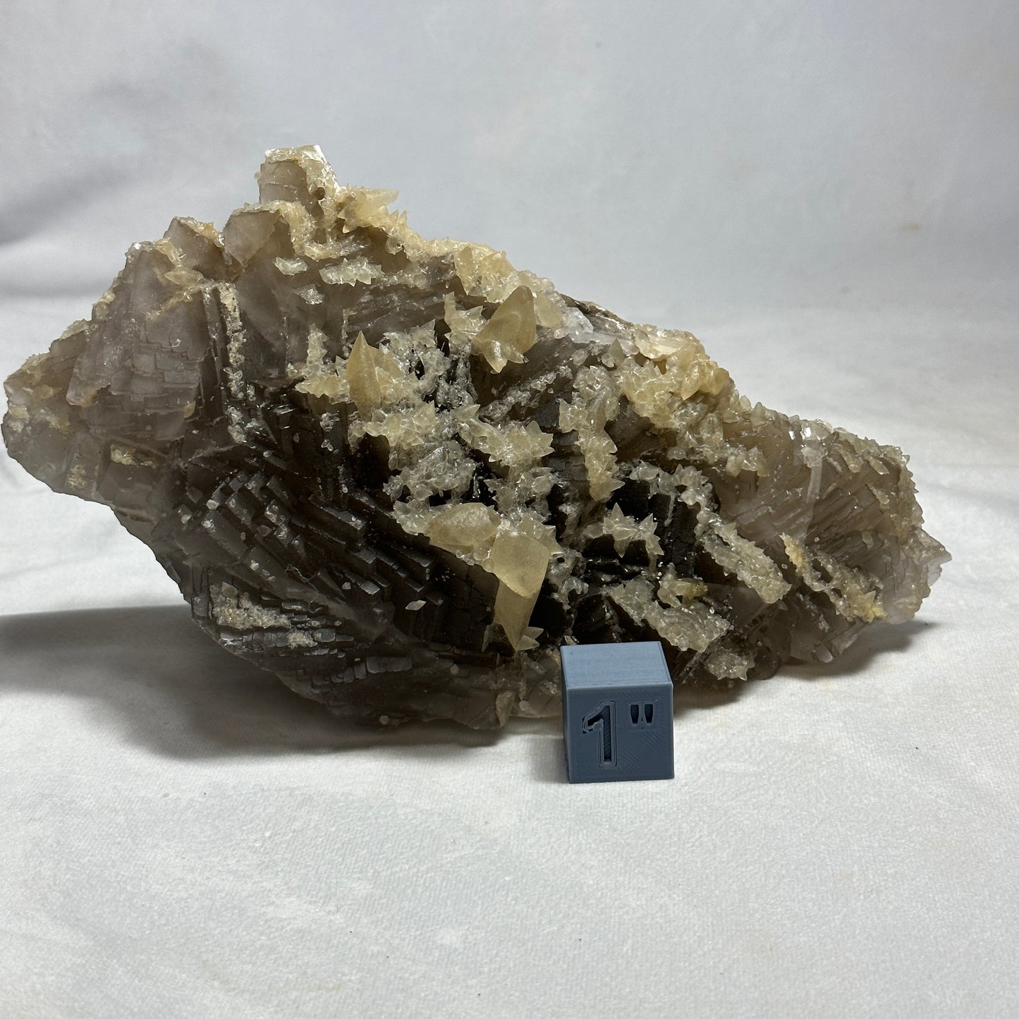 Magnificent Fluorite and Dogtooth Specimen