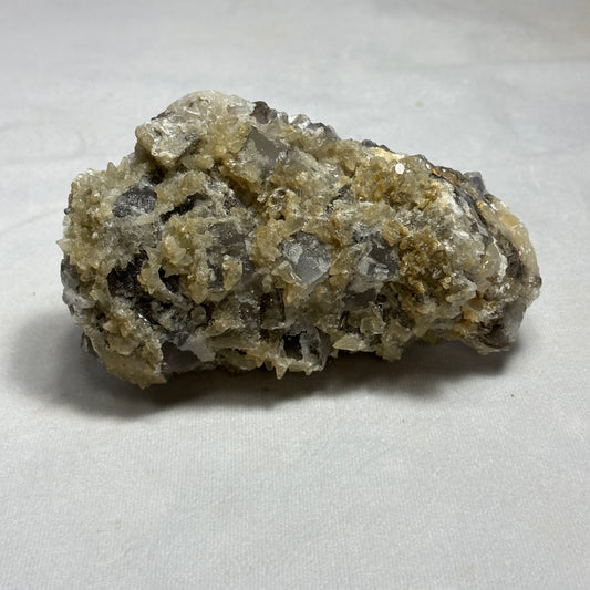 Remarkable Dogtooth Specimen