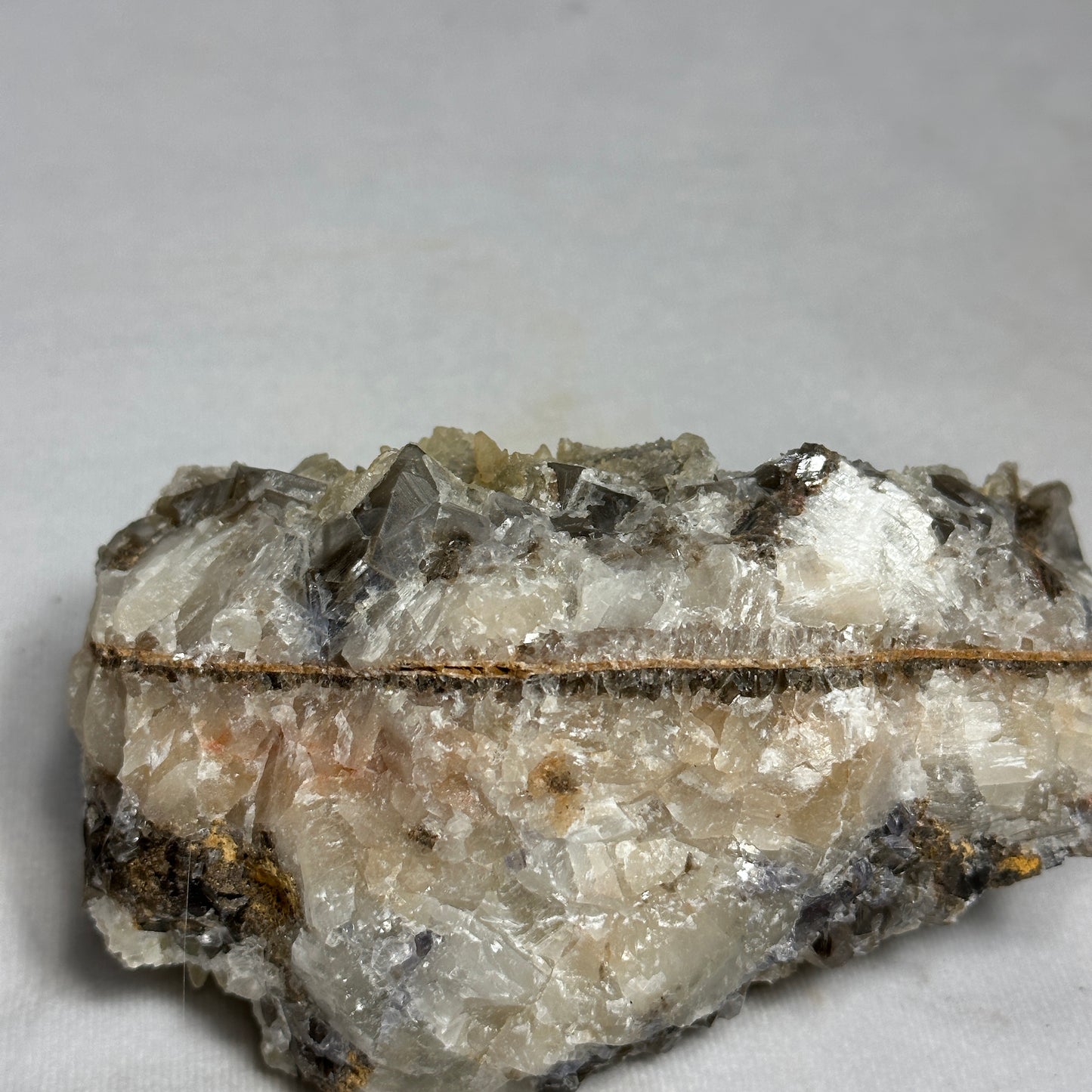 Remarkable Dogtooth Specimen