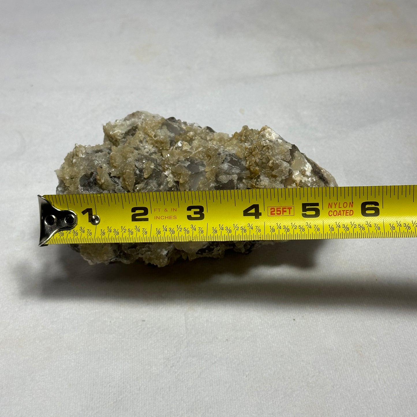 Remarkable Dogtooth Specimen