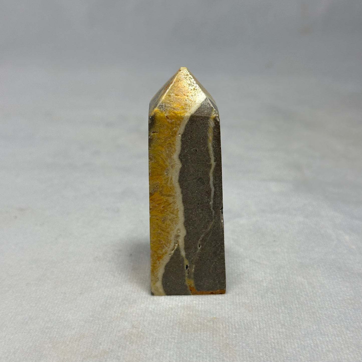 Bumblebee Jasper