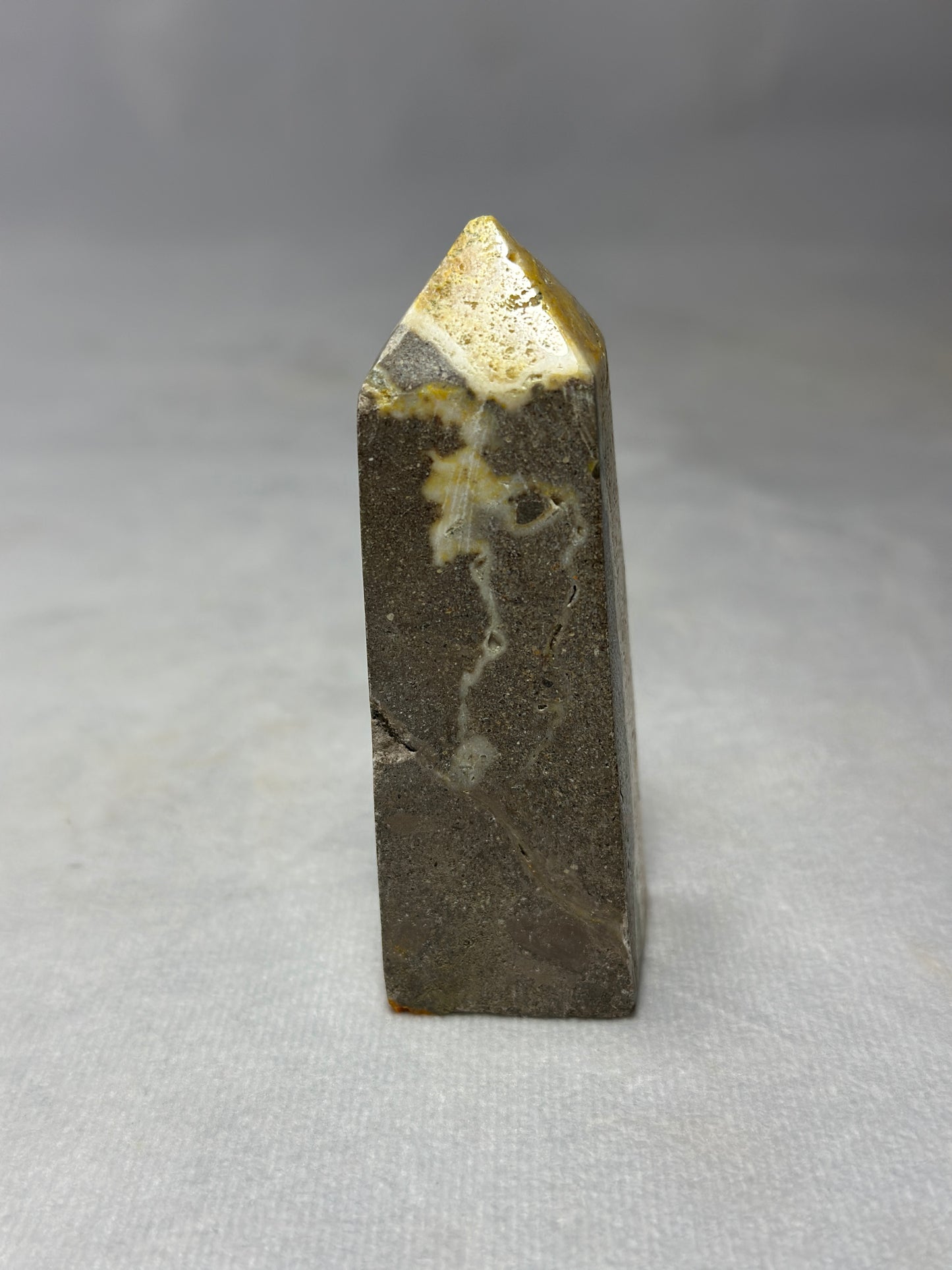 Bumblebee Jasper