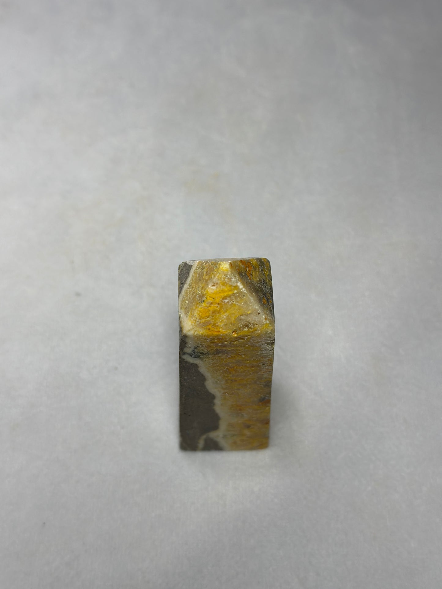Bumblebee Jasper