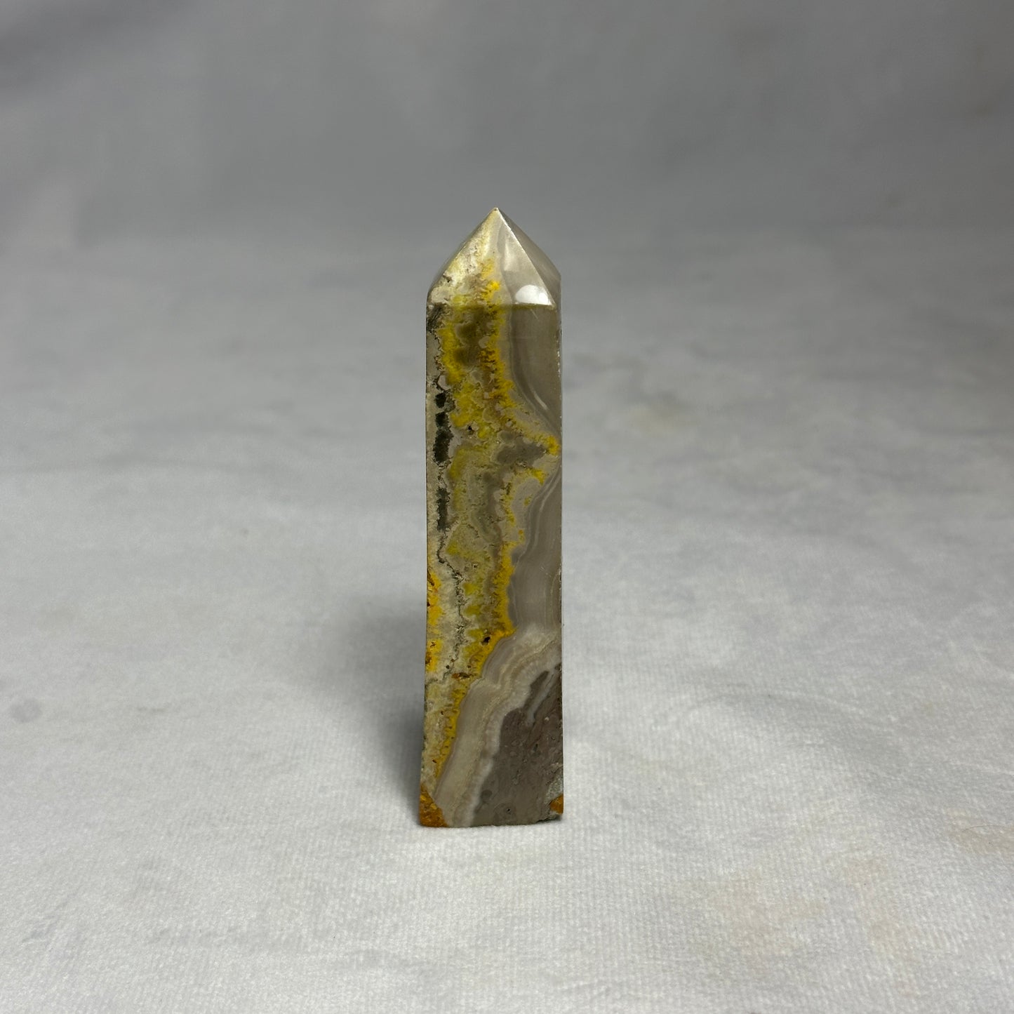 Gorgeous Bumblebee Jasper