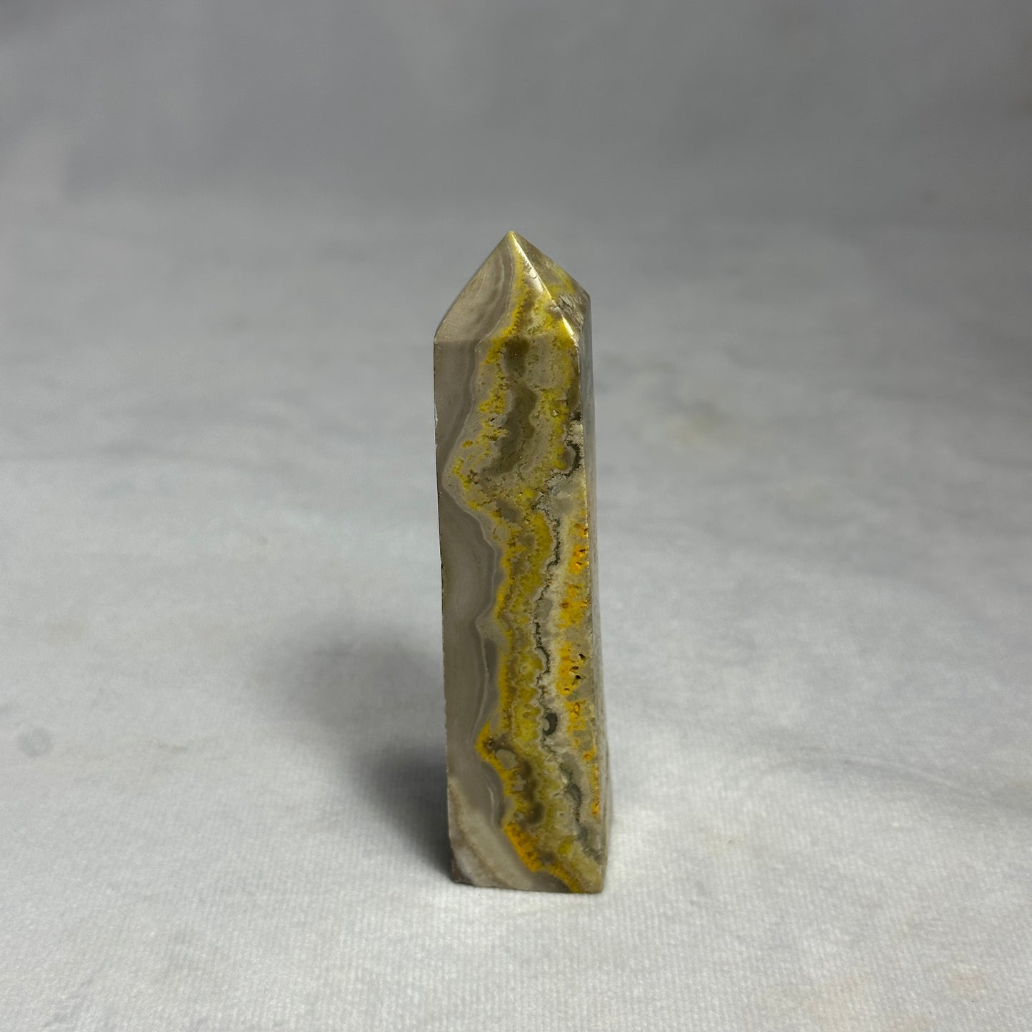 Gorgeous Bumblebee Jasper