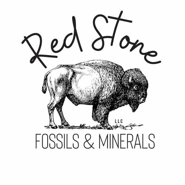 Red Stone Fossils