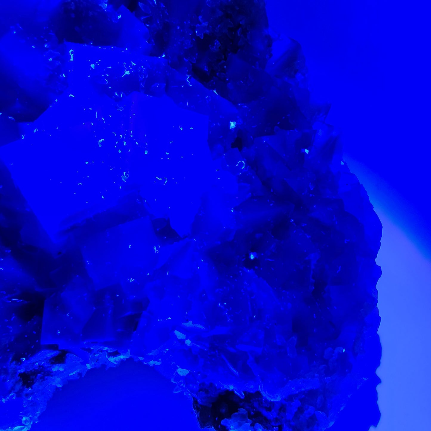 Flourishing Fluorite with Calcite
