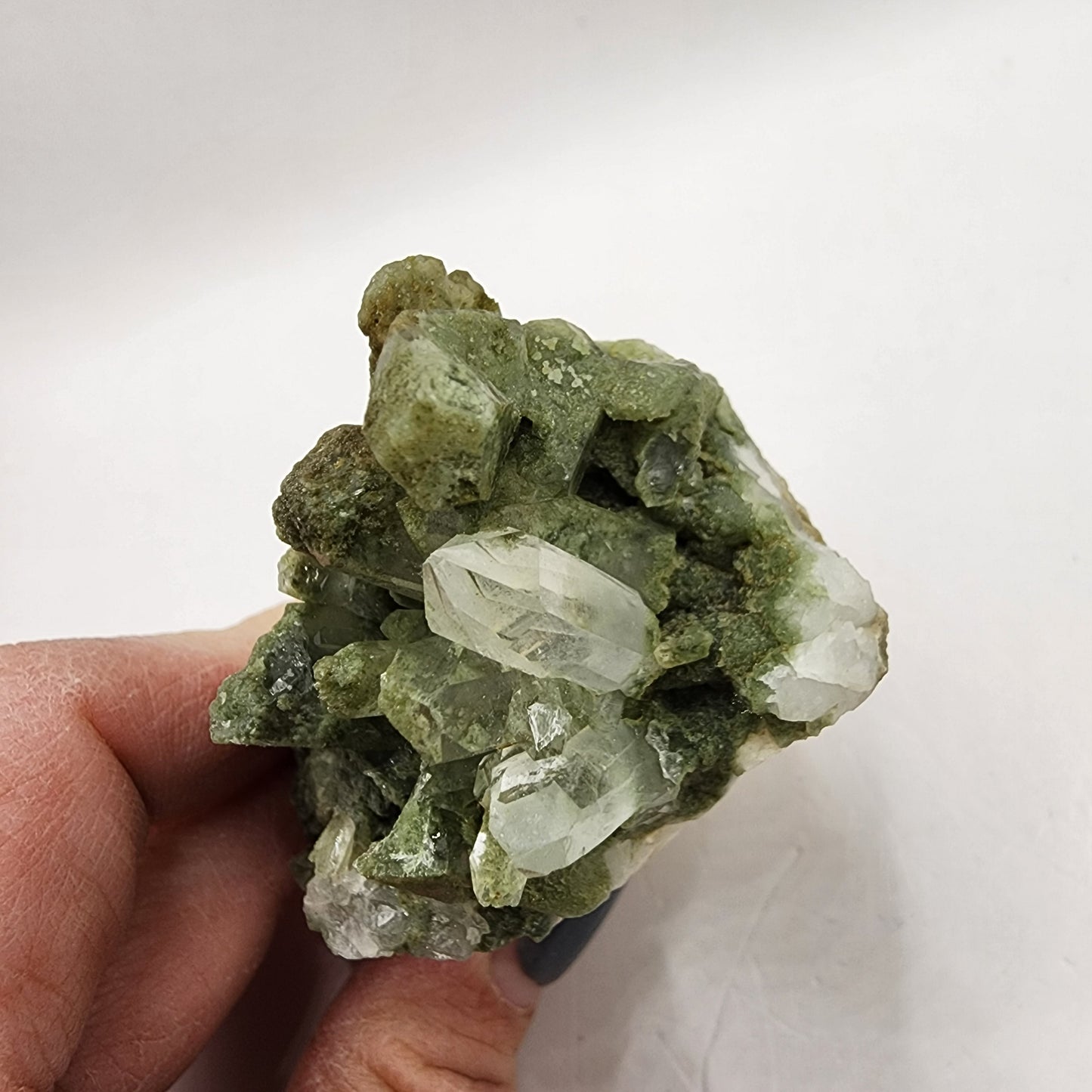 Quaint Chlorine Quartz
