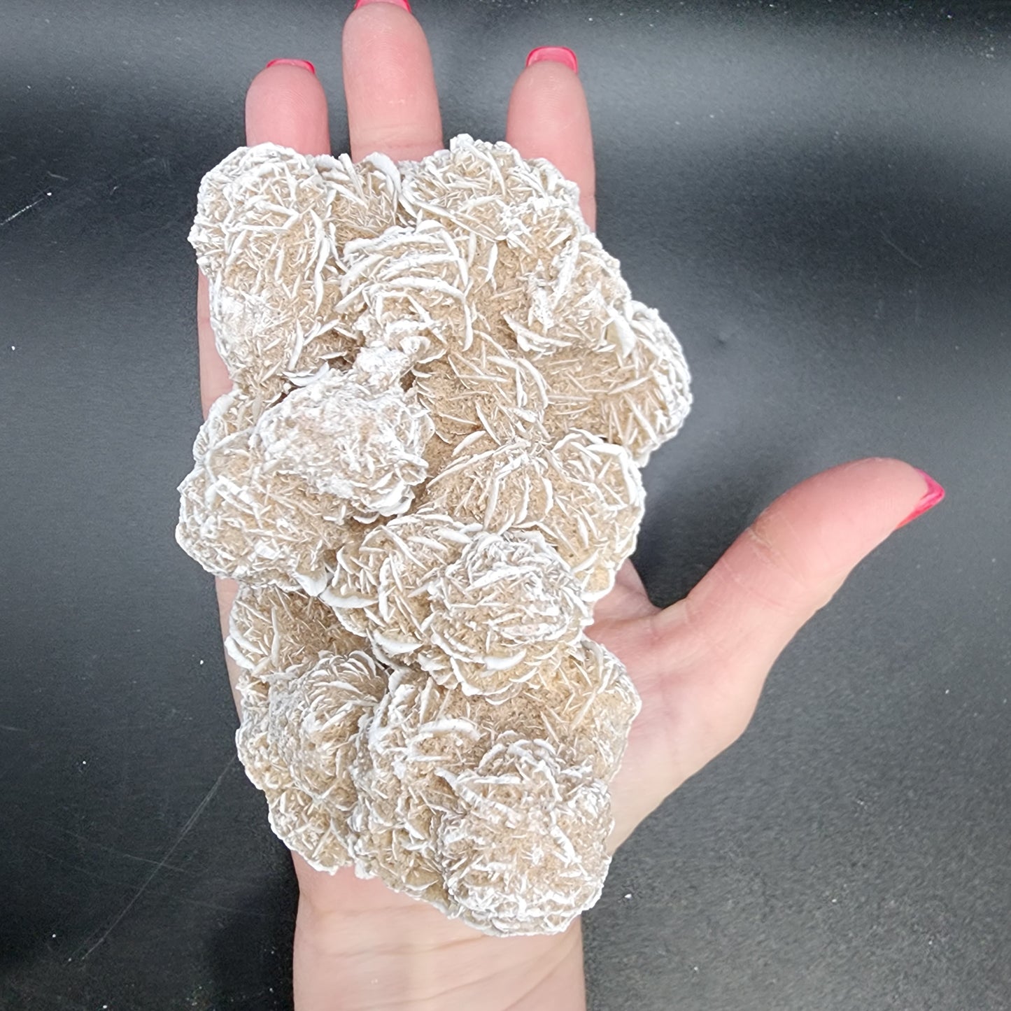 Desert Rose