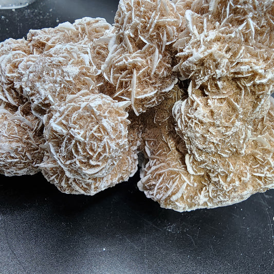 Desert Rose