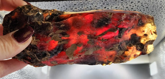Fancy Detailed Sumatran Amber