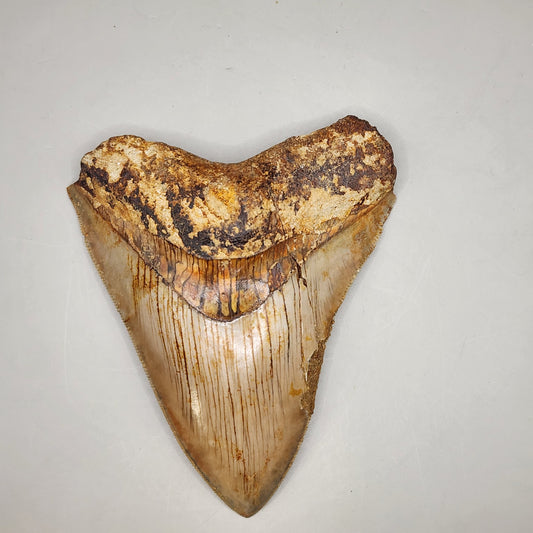 Great collection starter!