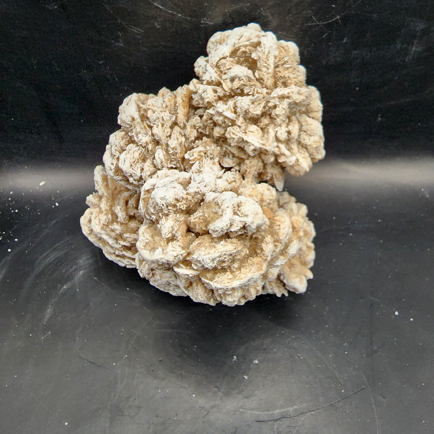 Desert Rose (selenite)