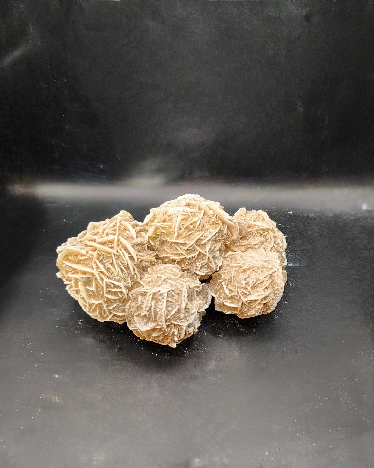 Beautiful Desert Rose Cluster