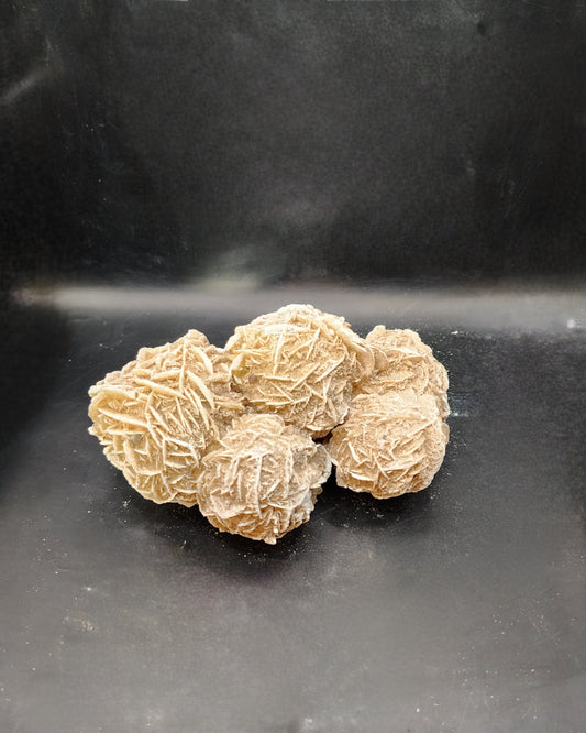Beautiful Desert Rose Cluster