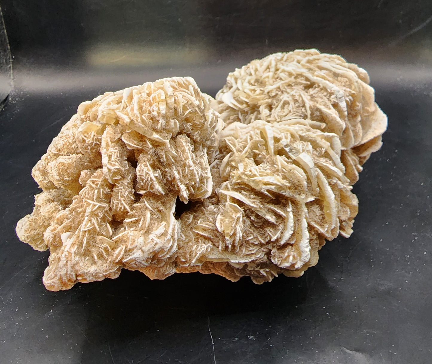 Desert Rose (Selenite)