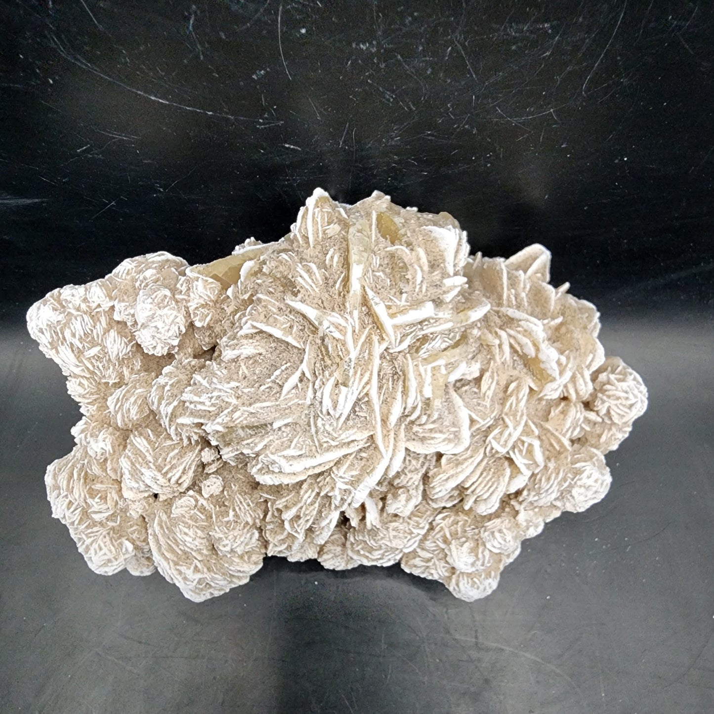 Desert Rose (Selenite)