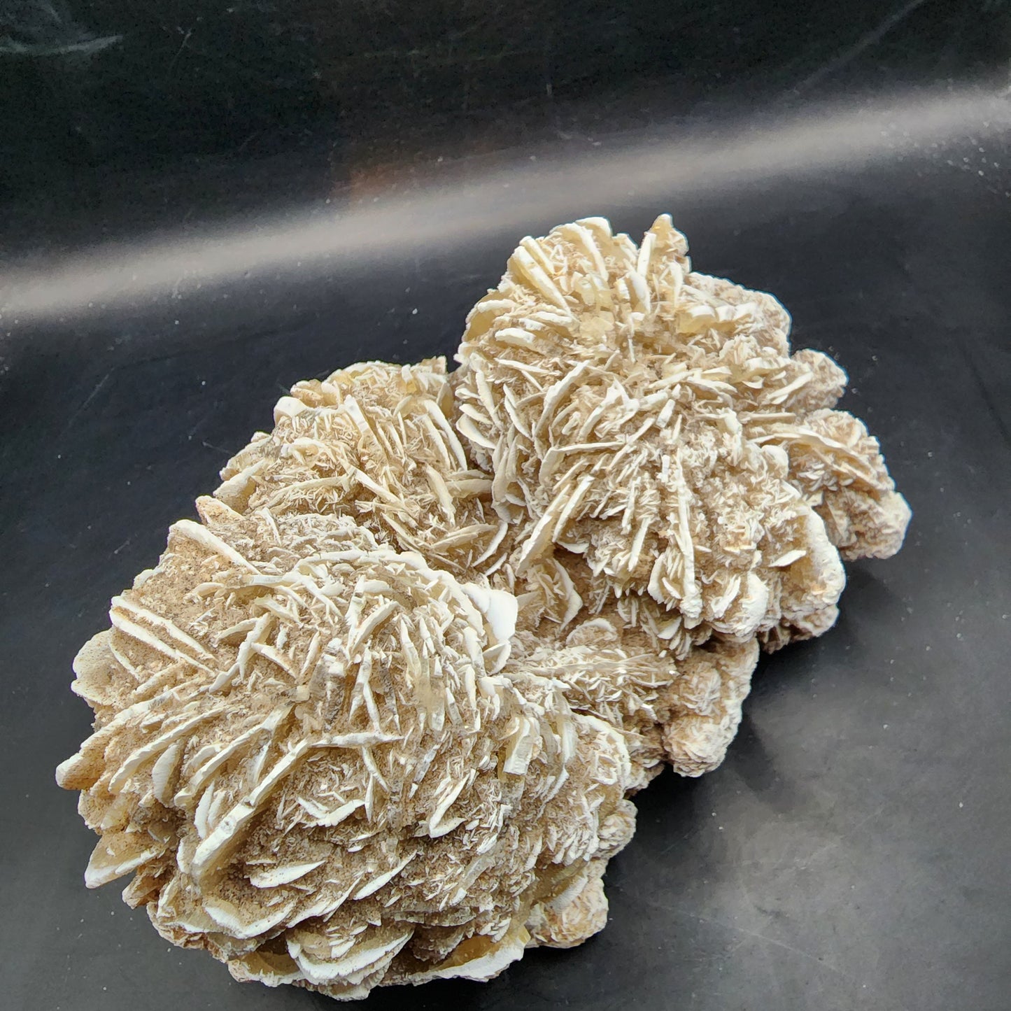 Desert Rose (Selenite)