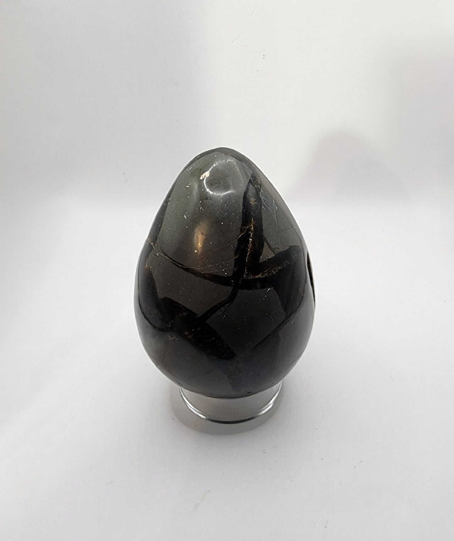 Black Sepatarian Egg