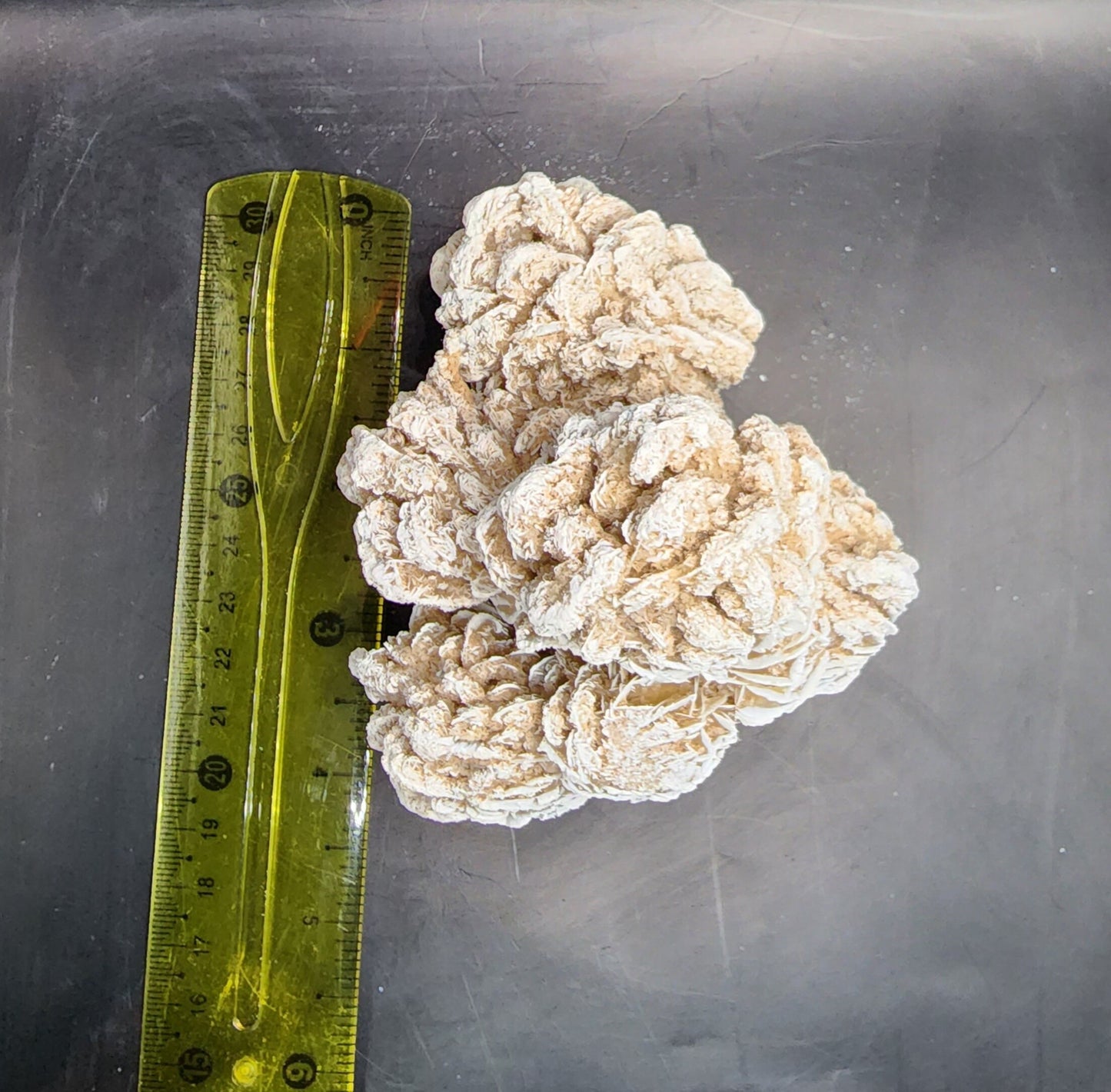 Desert Rose (selenite)