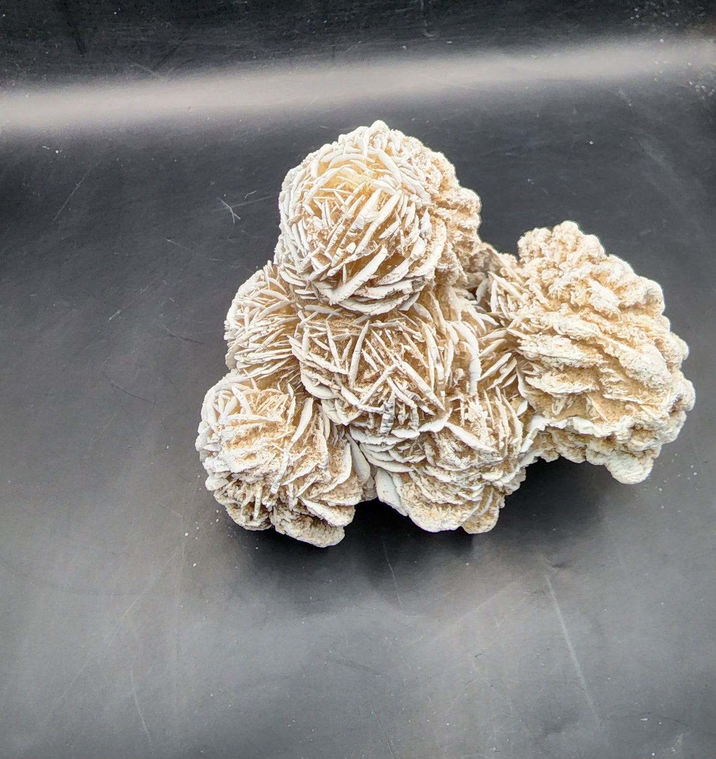 Desert Rose (selenite)