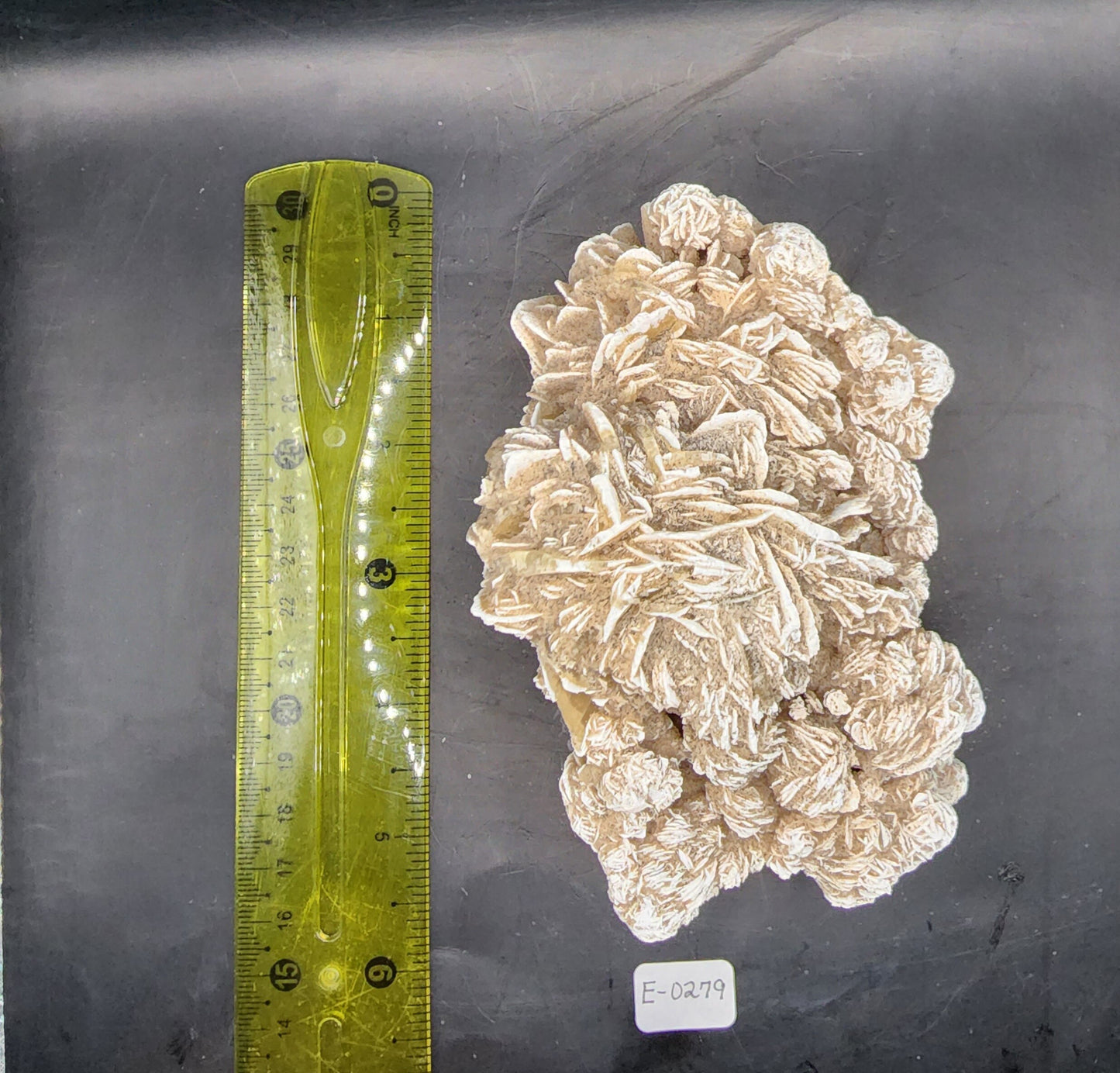 Desert Rose (Selenite)