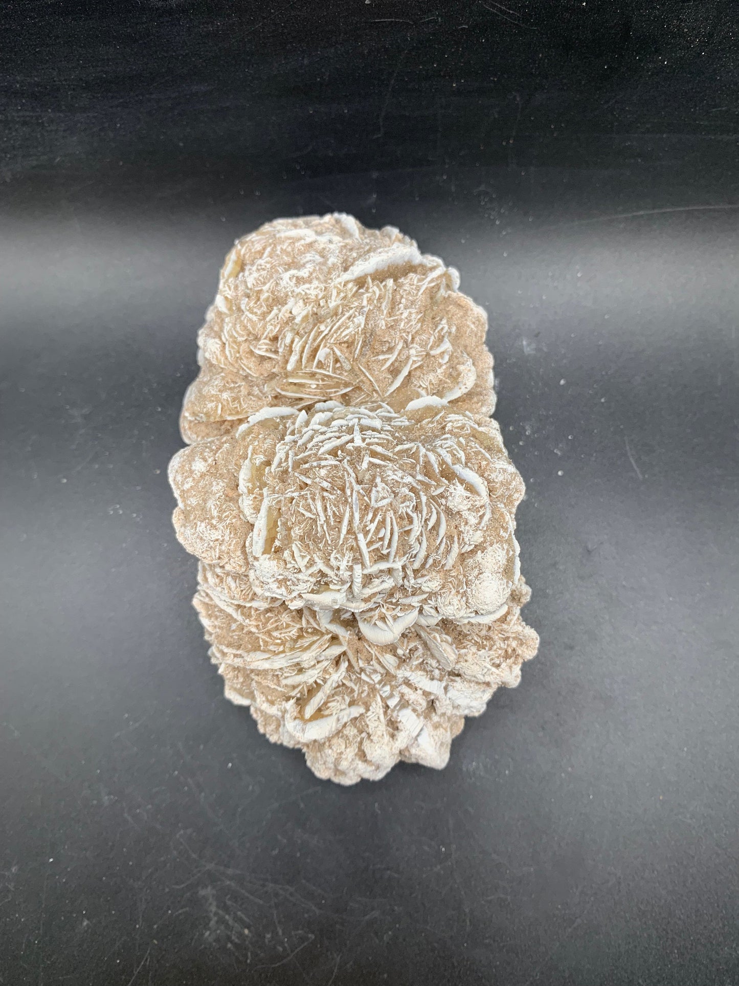 Detailed Desert Rose 4.8"