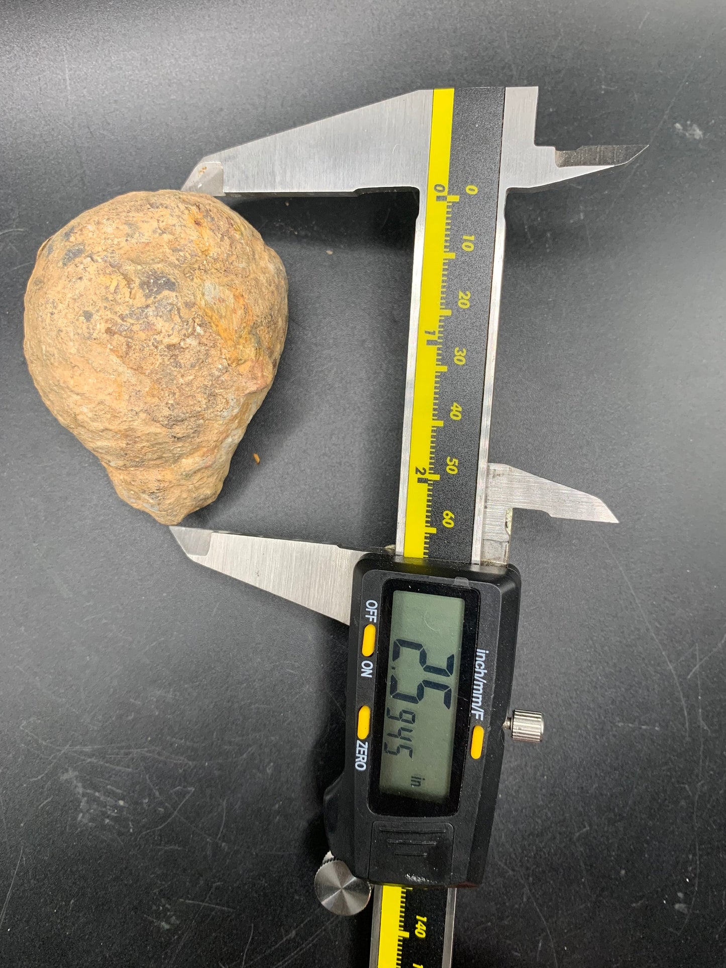 Flexicalymene Trilobite Nodule