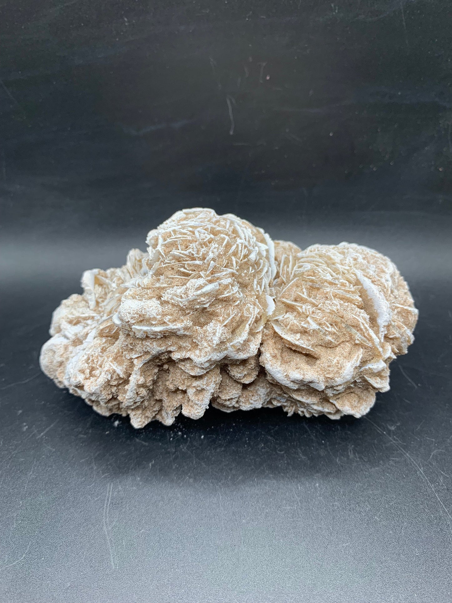 Detailed Desert Rose 4.8"