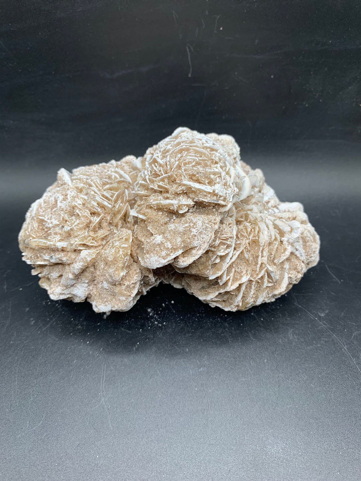 Detailed Desert Rose 4.8"
