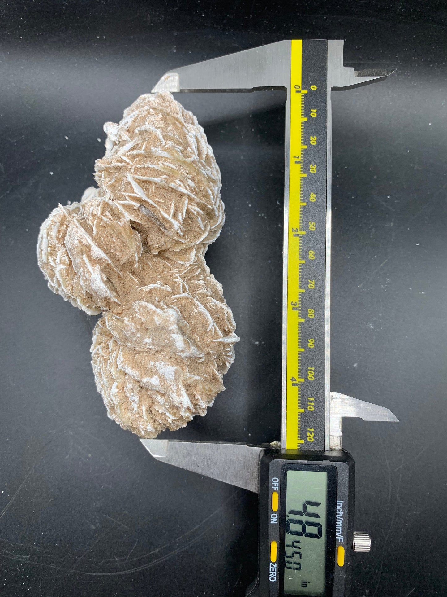 Detailed Desert Rose 4.8"