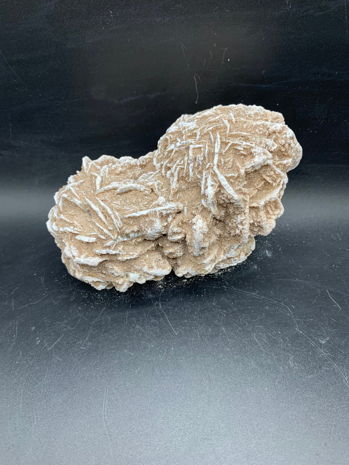 Detailed Desert Rose 4.8"