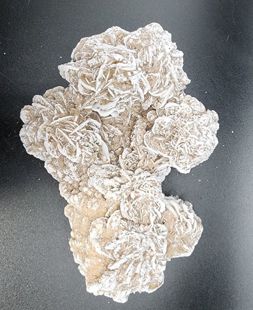 Dreamy Desert Rose