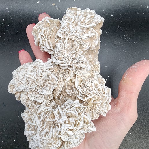Dreamy Desert Rose