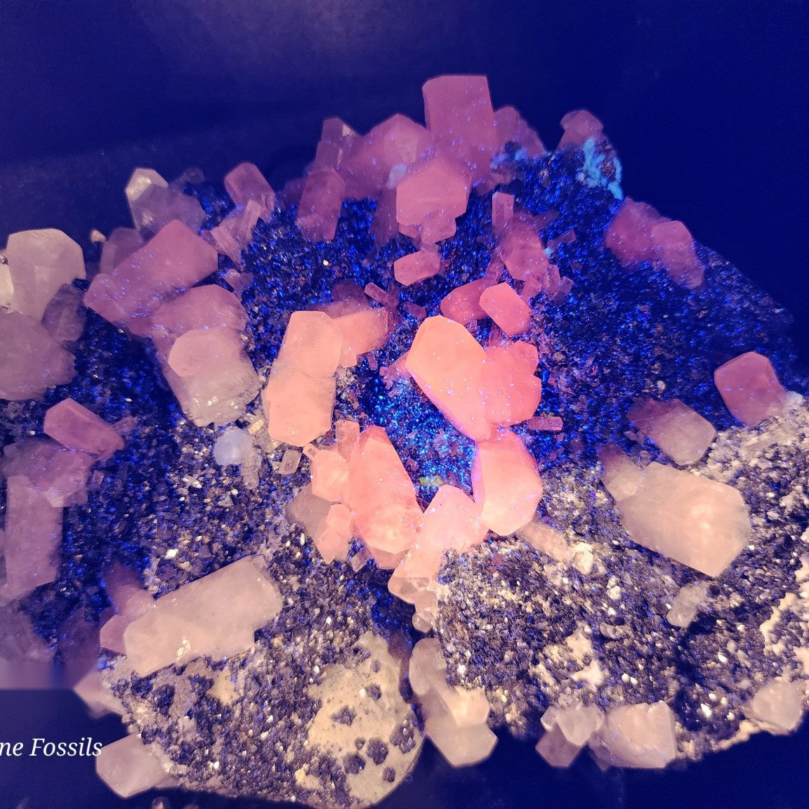 Magnificent Minerals