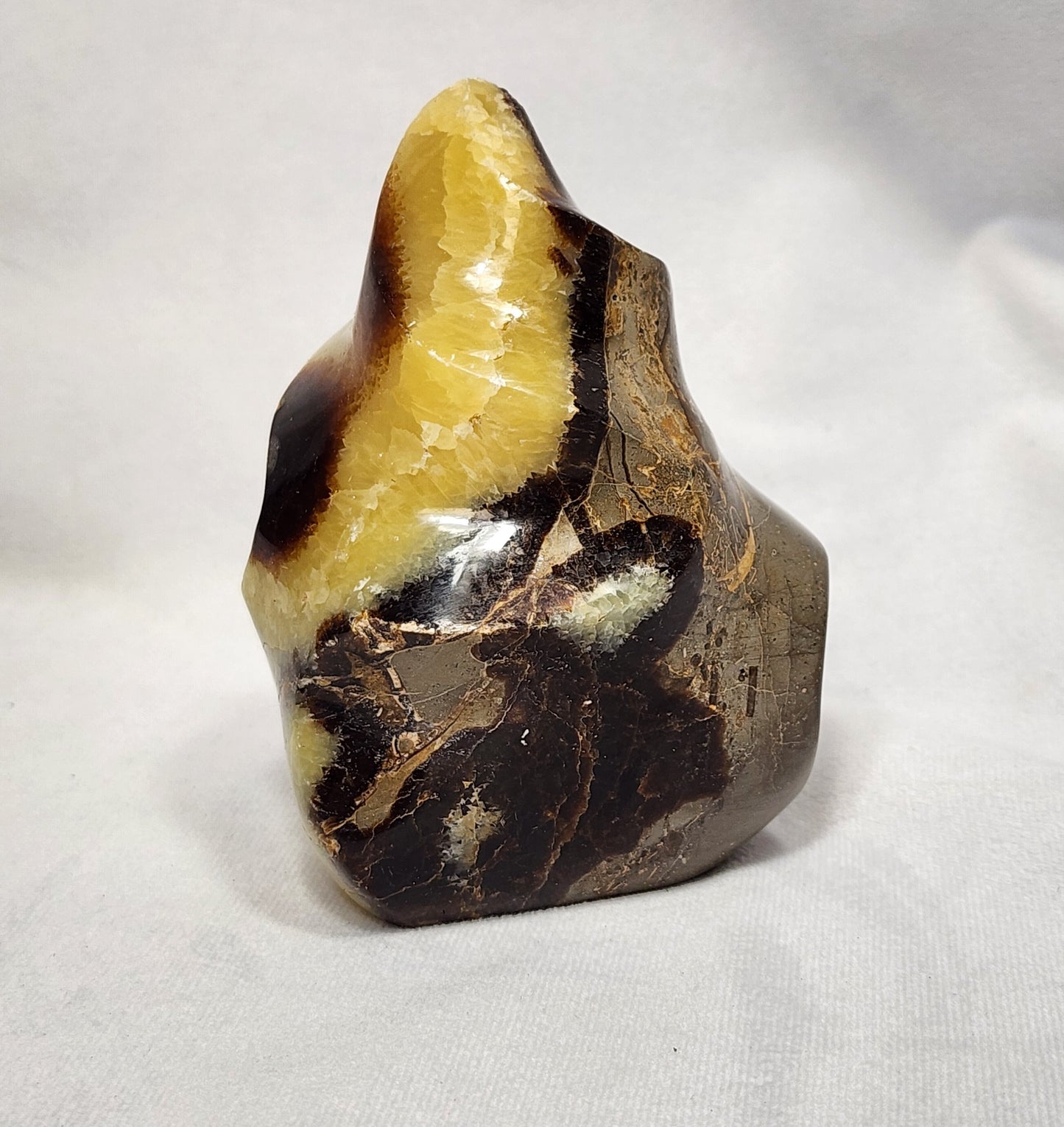 Splendid Septarian Flame