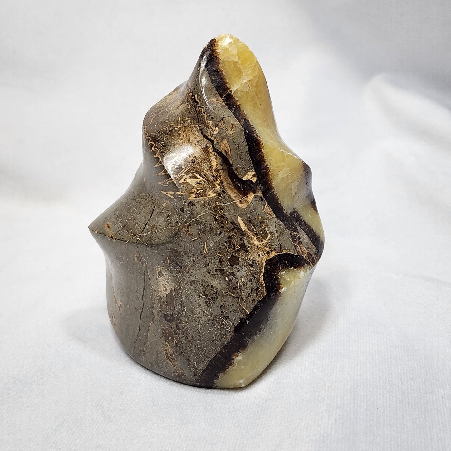 Splendid Septarian Flame