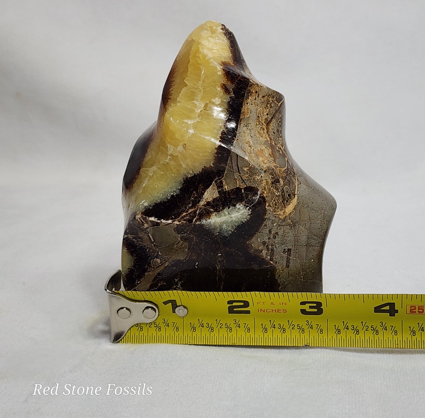 Splendid Septarian Flame