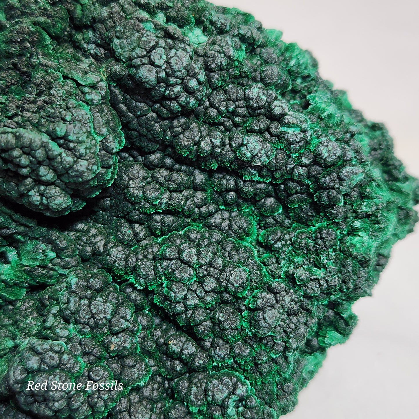 Ravishing Raw Fibrous Malachite