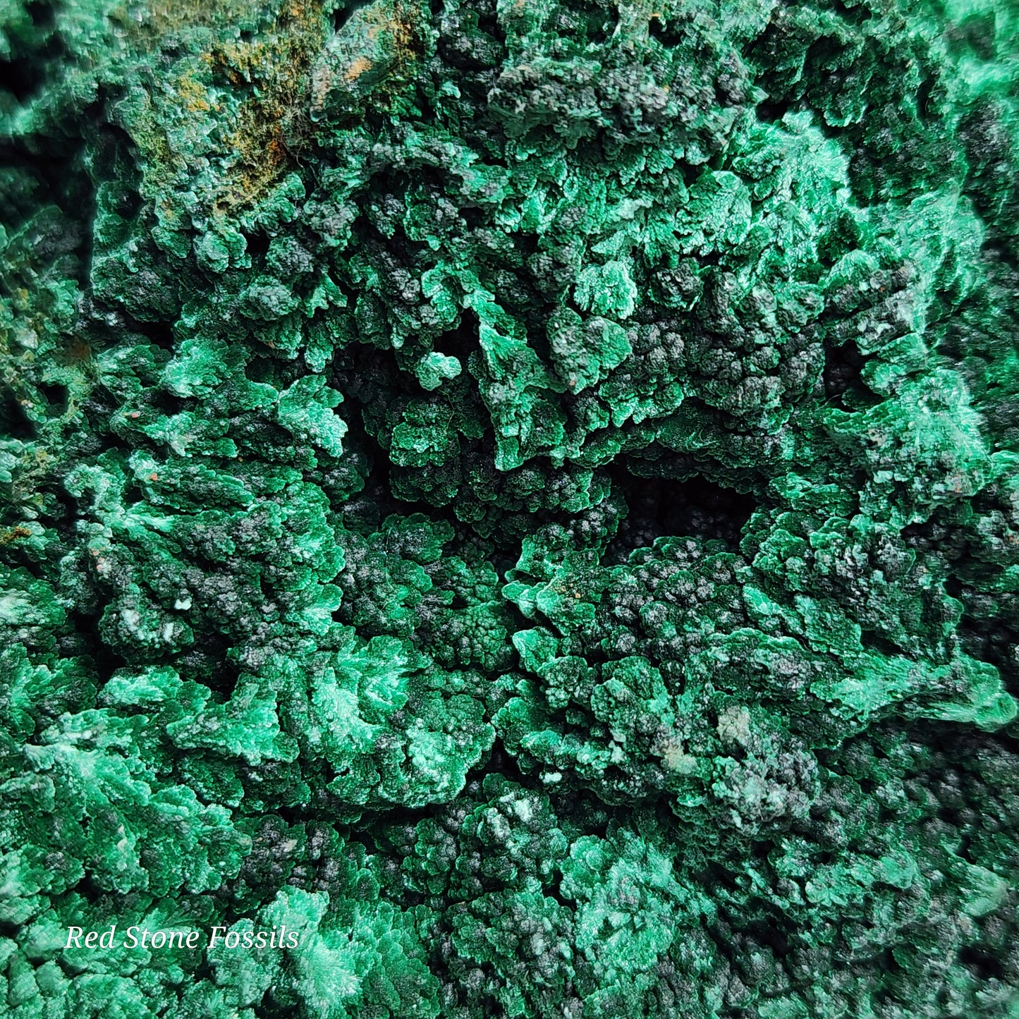 Ravishing Raw Fibrous Malachite