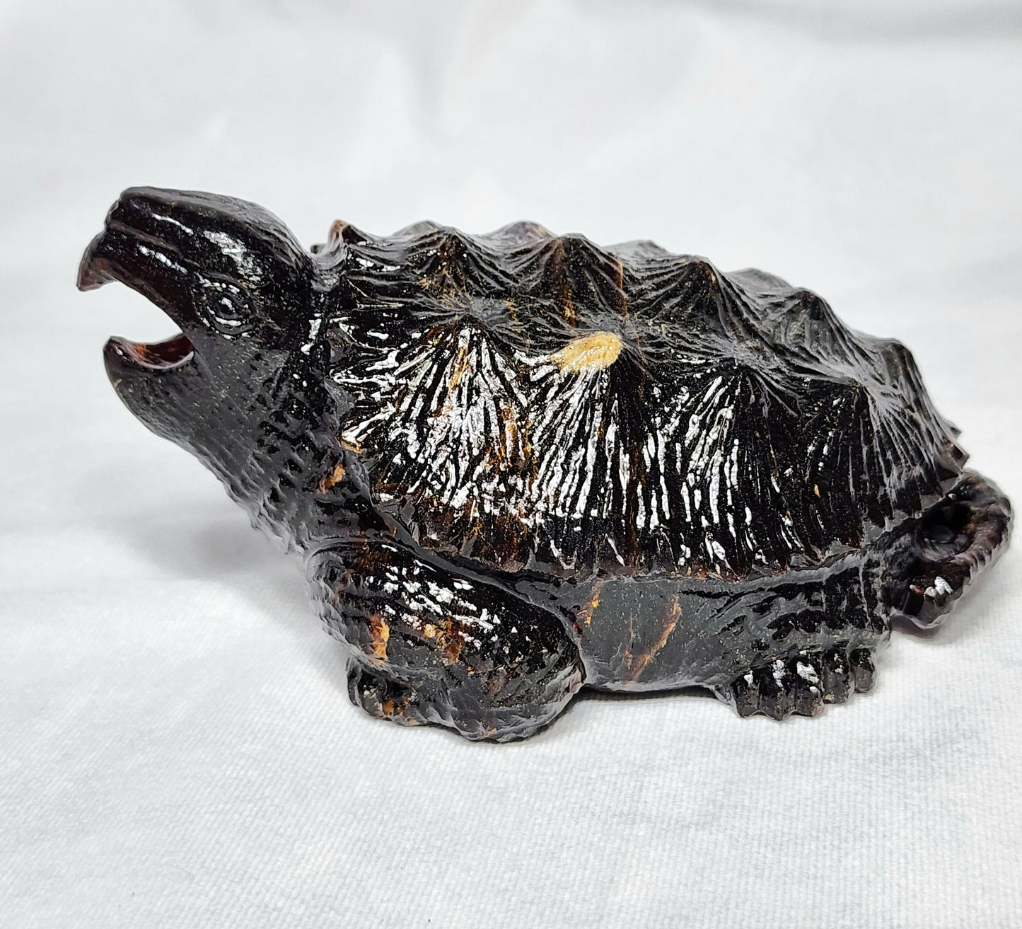 Sumatran Amber Snapping Turtle