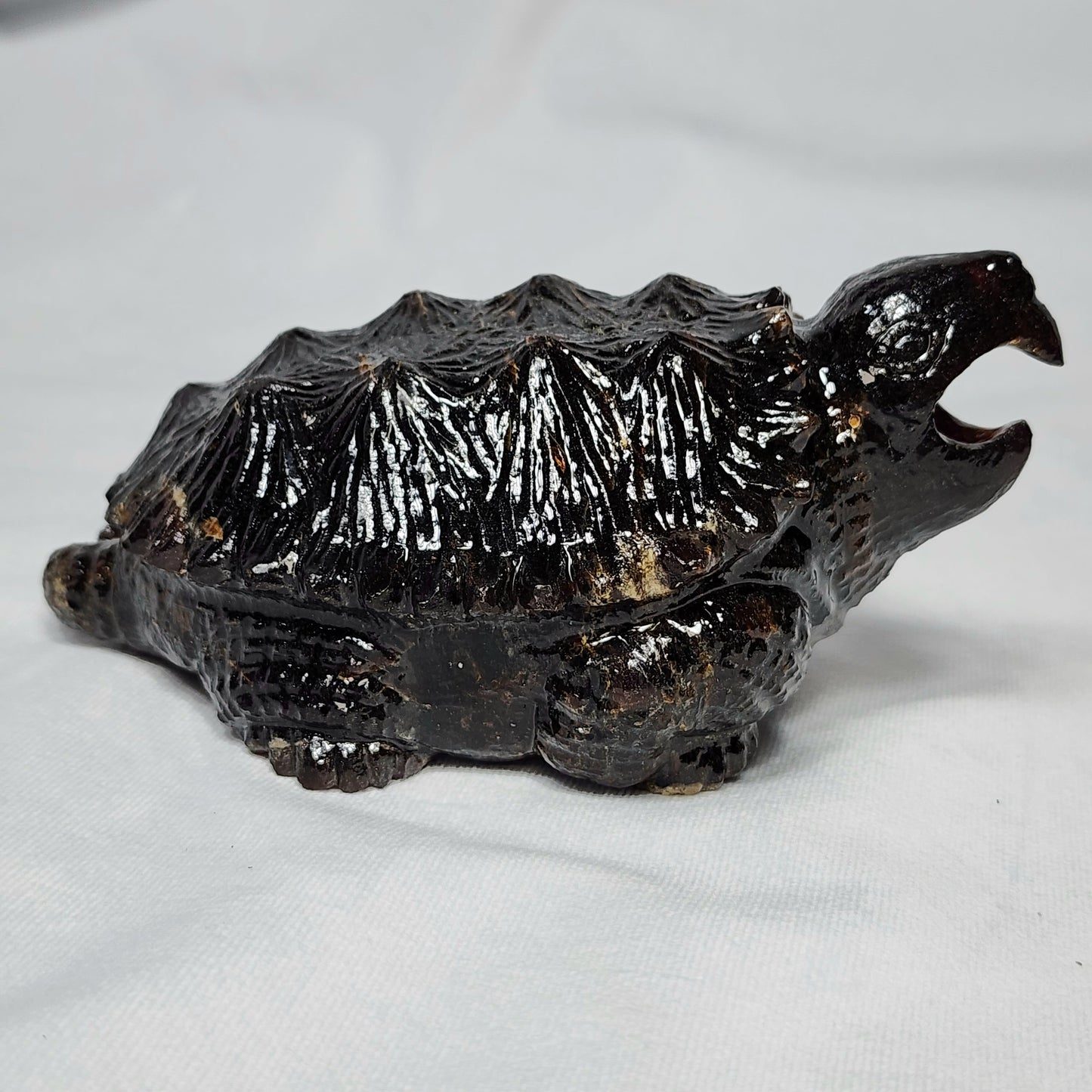 Sumatran Amber Snapping Turtle