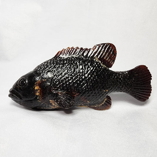 Fancy Amber Fish