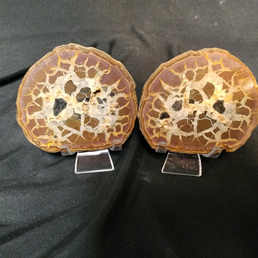 Spectacular Septarian Nodule Pair